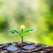 Des institutions financières internationales aideront le Rwanda à mobiliser 329 millions $ de financements climatiques