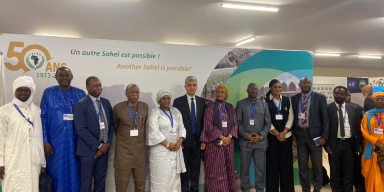 COP-28 : initiative sous-régionale africaine de lutte contre le changement climatique 