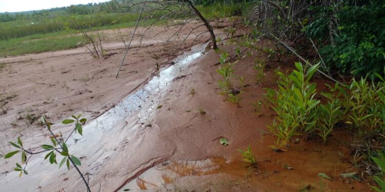 Projet Simandou : La construction du port en eau profonde engendre des impacts environnementaux non négligeables à Moribaya