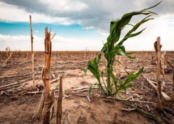 Les phénomènes climatiques coûtent 2 à 5% du PIB aux pays africains (rapport)