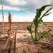 Les phénomènes climatiques coûtent 2 à 5% du PIB aux pays africains (rapport)